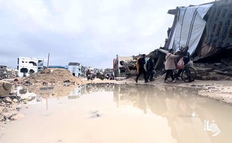 خان يونس: نازحون يخاطرون بحياتهم للعودة لمنازلهم خلف الخط الأصفر خان يونس: نازحون يخاطرون بحياتهم للعودة لمنازلهم خلف الخط الأصفر