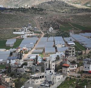 مشاهد عامة تُظهر الطبيعة الخلابة لقرية طمون شمال وادي الأردن