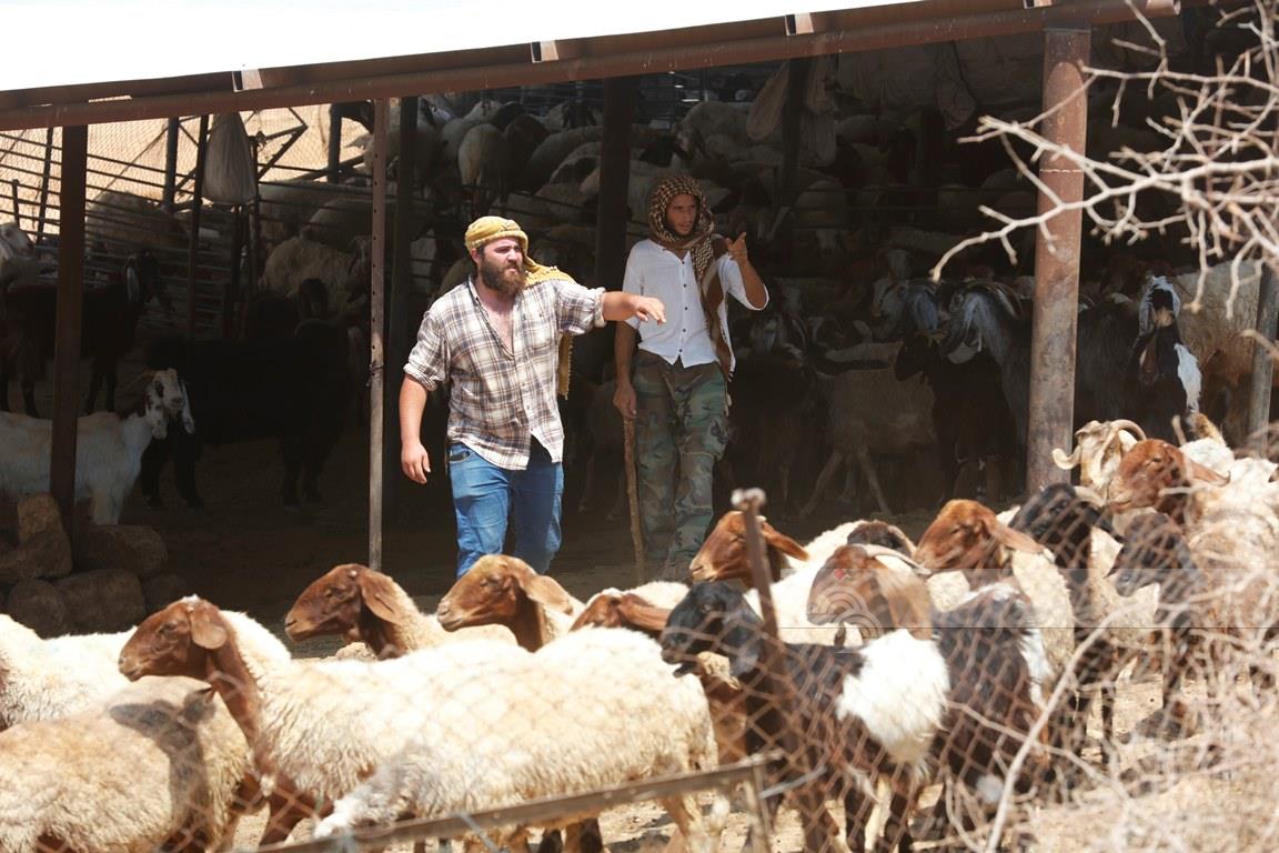 صورة أرشيفية (وفا)