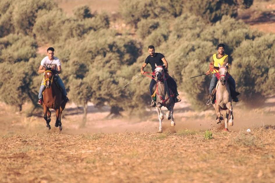 مشاركون في سباق الخيل في العقبة