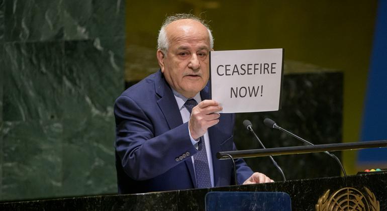 مندوب فلسطين الدائم لدى الأمم المتحدة السفير رياض منصور