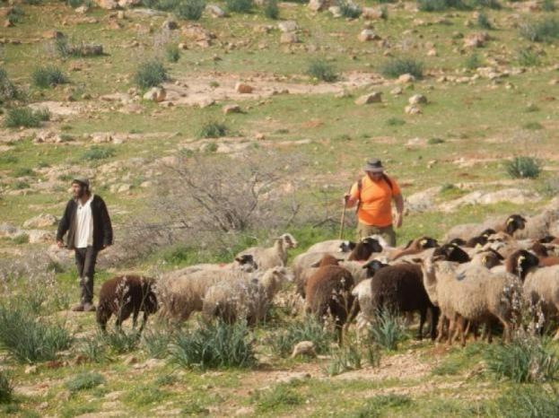 صورة أرشيفية "وفا"